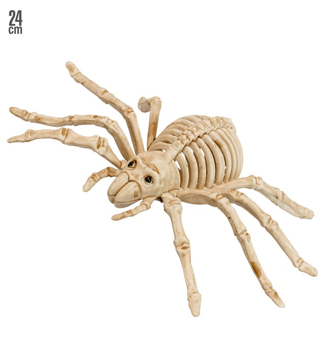 SPIDER SKELETON" 24 CM