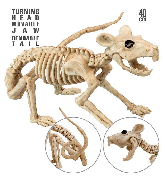 RAT SKELETON" 40 CM