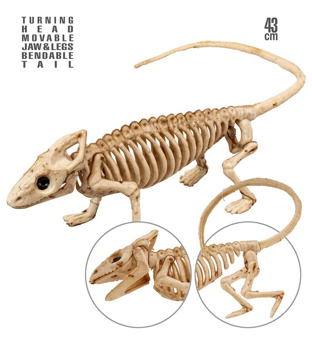 IGUANA SKELETON" 43 CM