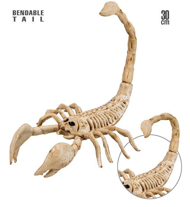 SCORPION SKELETON" 30 CM