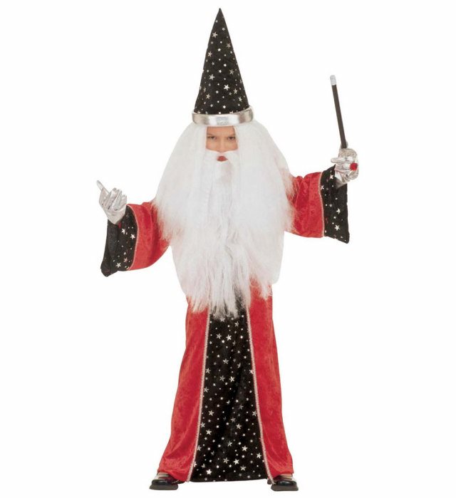 FANTASY WIZARD" (ROBE, HAT)