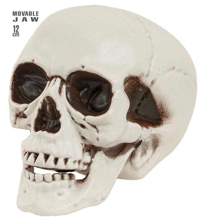 SKULL WITH MOVABLE JAW" 12 CM